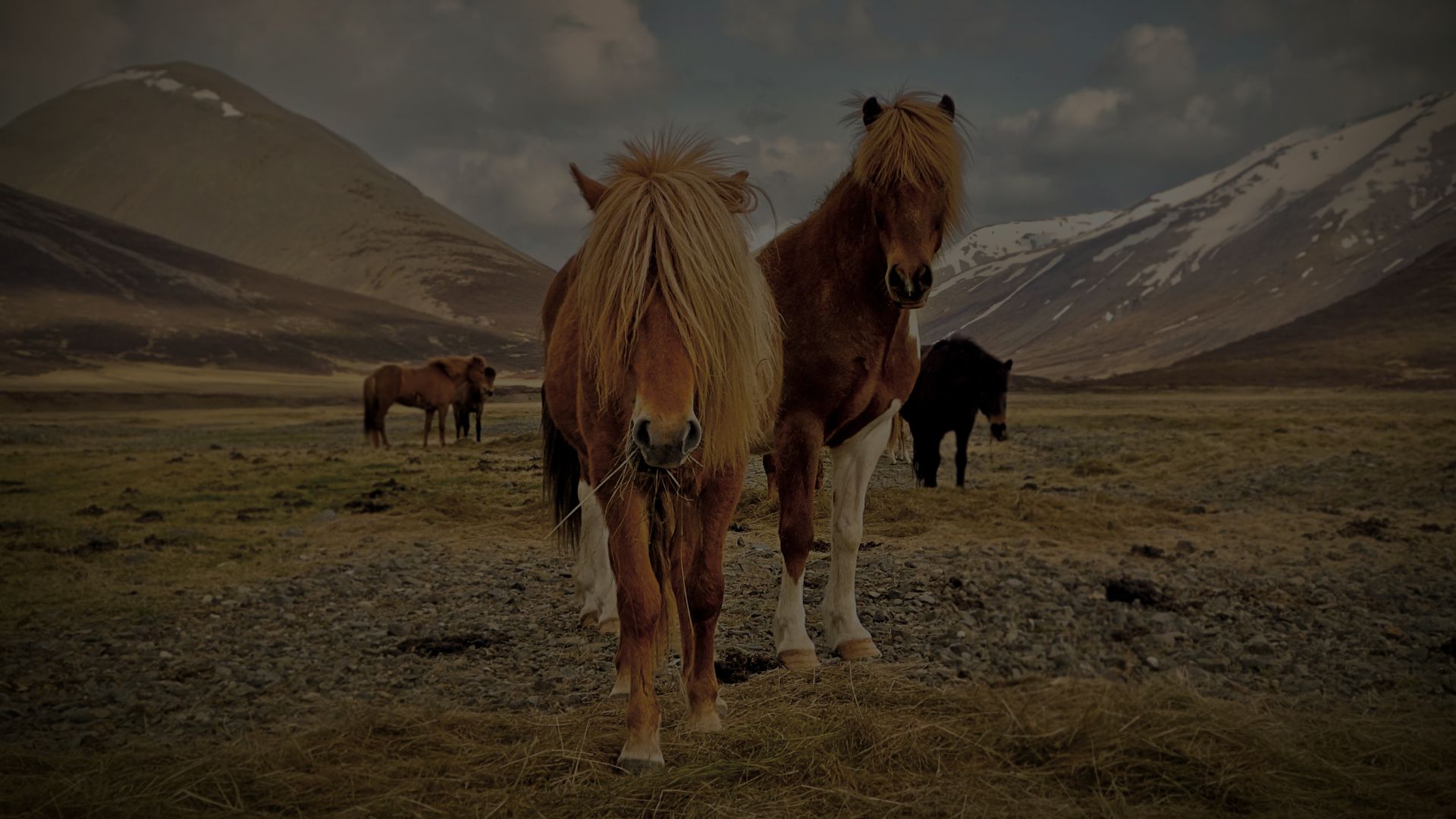 Achtergrondafbeelding